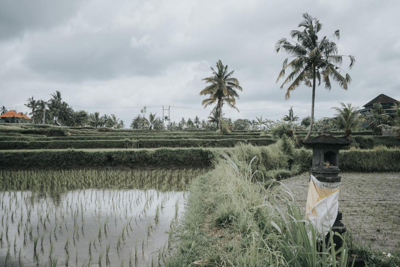 The Ning Resort Ubud Екстериор снимка